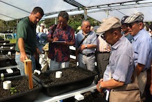 Bradley Kai Fox explaining aquaponics to Japanese farmers